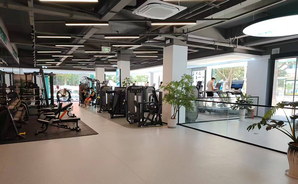 Linear Lights for GYM